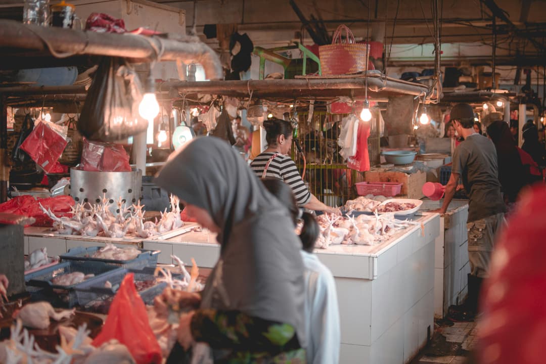 Chicken Market